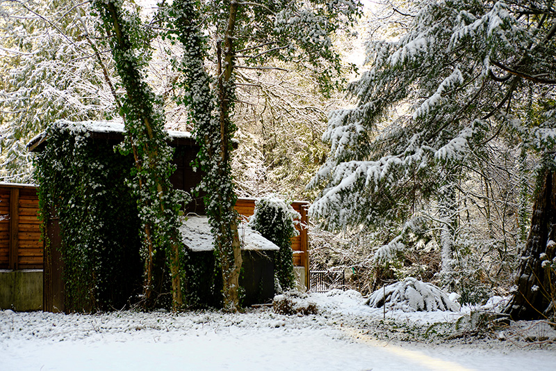 눈 덮인 작은 집
