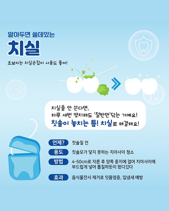 치실: 칫솔이 놓치는 틈새 공략의 일등공신! - 광주뉴스TV