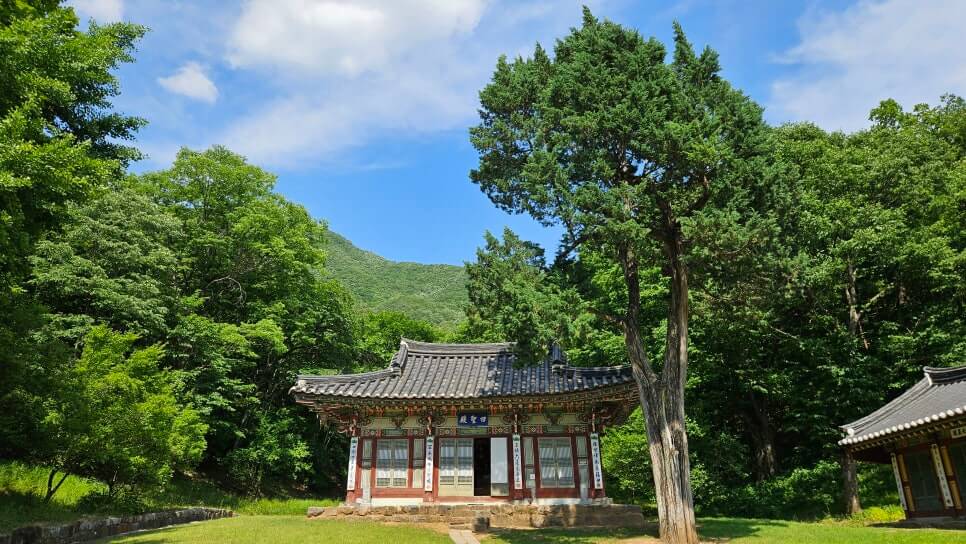 영월 보덕사 : 단종의 슬픔을 품고 연꽃으로 피어난 천년고찰