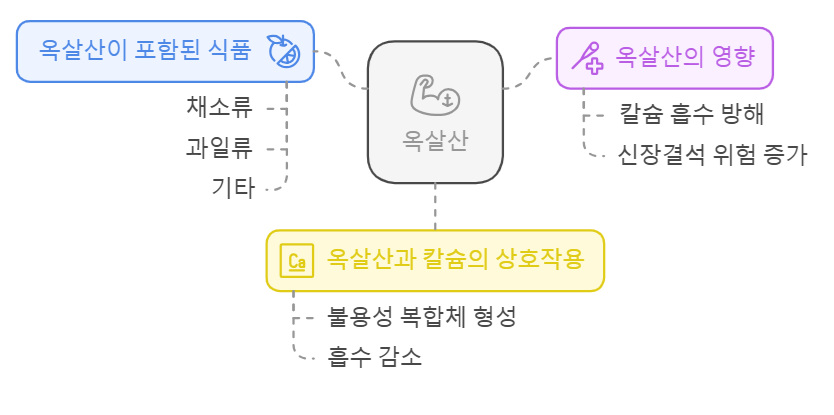 옥살산과 건강의 관계