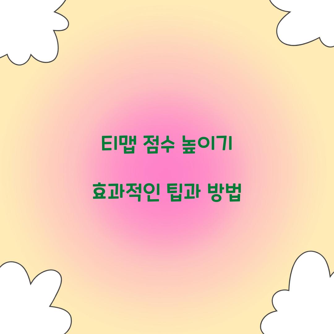 티맵 점수 높이기