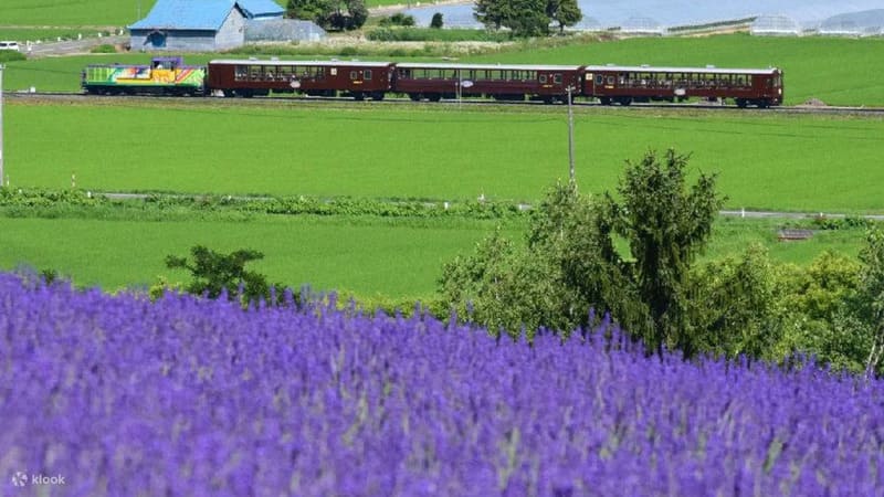 JR 홋카이도 삿포로-후라노 에리어 패스