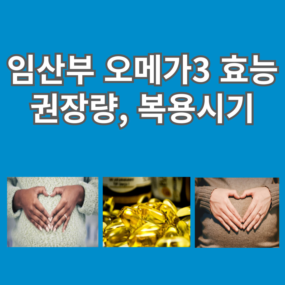 임산부 오메가3 효능 및 권장량 복용시기는 어떻게 될까요?