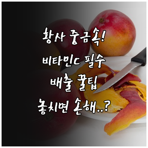황사 속 중금속 배출 돕는 비타민 C..