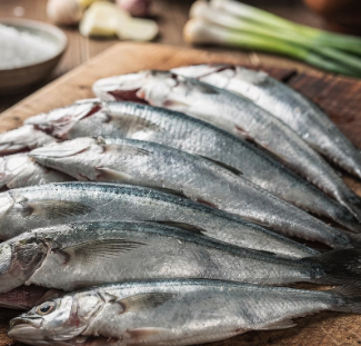 뼈에 좋은 멸치