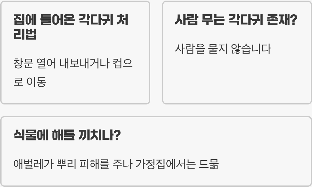 집에 나타난 왕모기, 알고 보니 장수각다귀? 정체와 특징 총정리