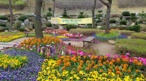 석모도 자연휴양림 봄꽃