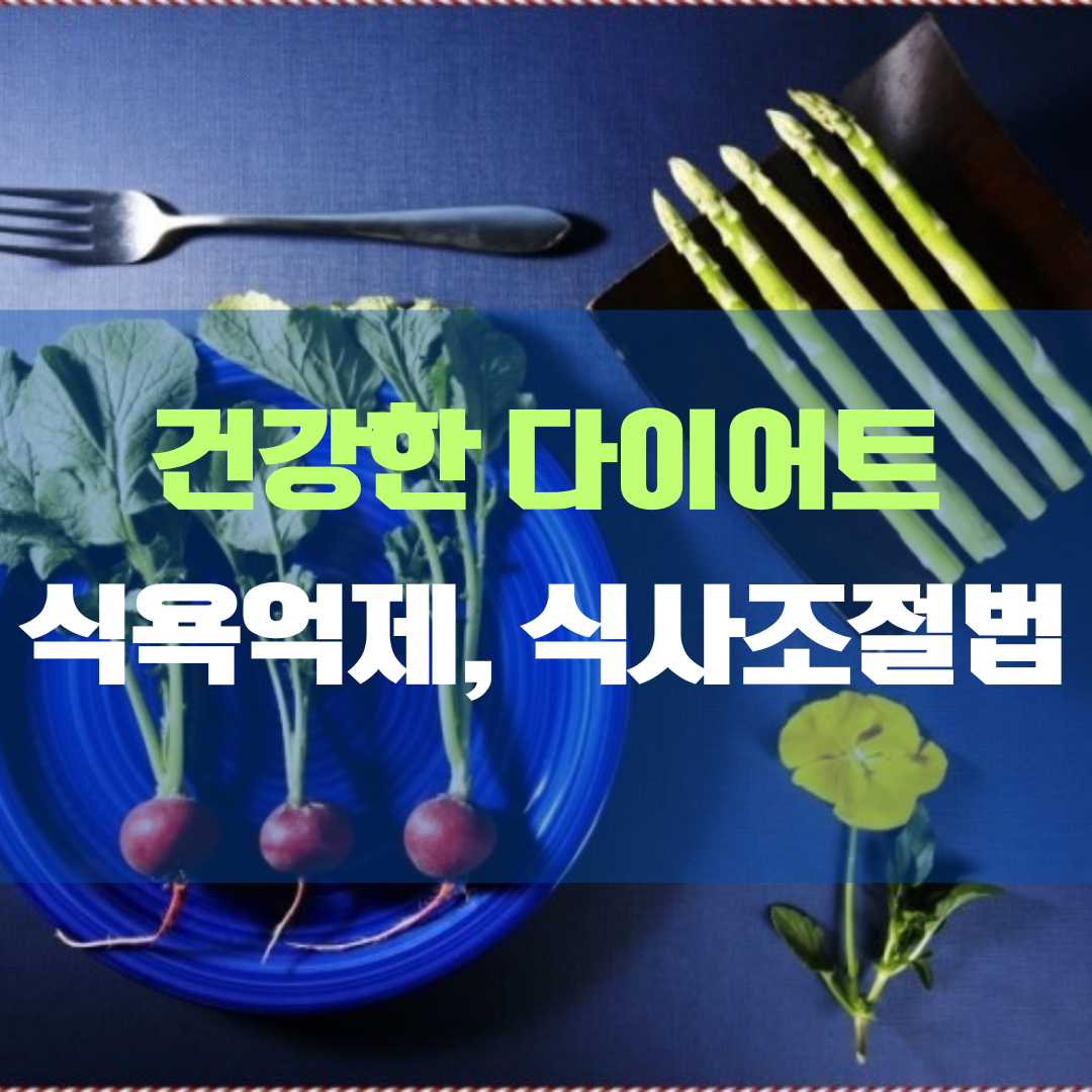 건강한 다이어트를 위한 식욕 억제법과 식사 조절 방법