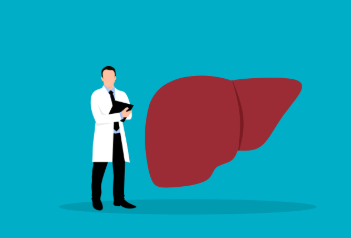 간 기능 개선에 좋은 식품