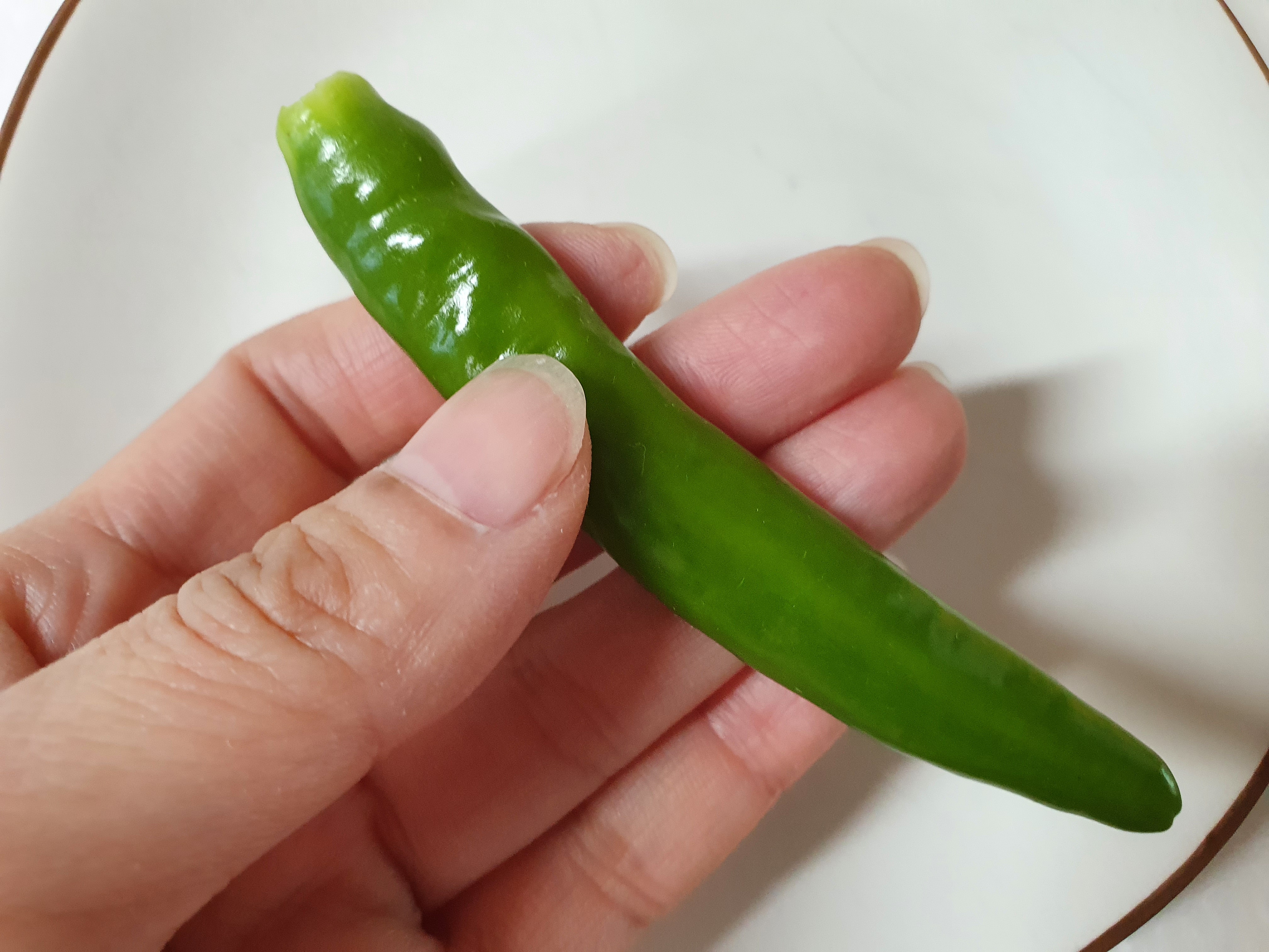 고추장아찌 만드는법&amp;#44; 아삭하고 알싸한 고추장아찌 비법