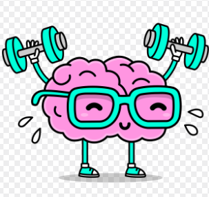 집에서도 할 수 있는 뇌 기능 강화 운동 TOP 5