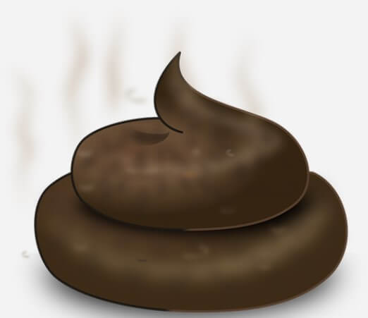 바지에 똥싼꿈