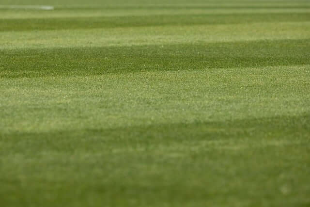 월드컵 3차 예선 중계