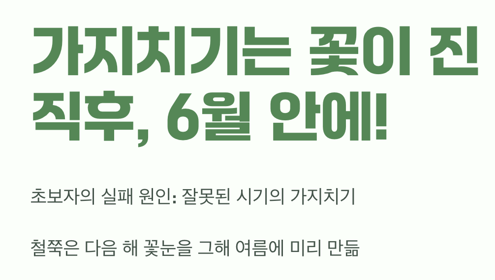 꽃이 진 직후, 단 한 번의 기회