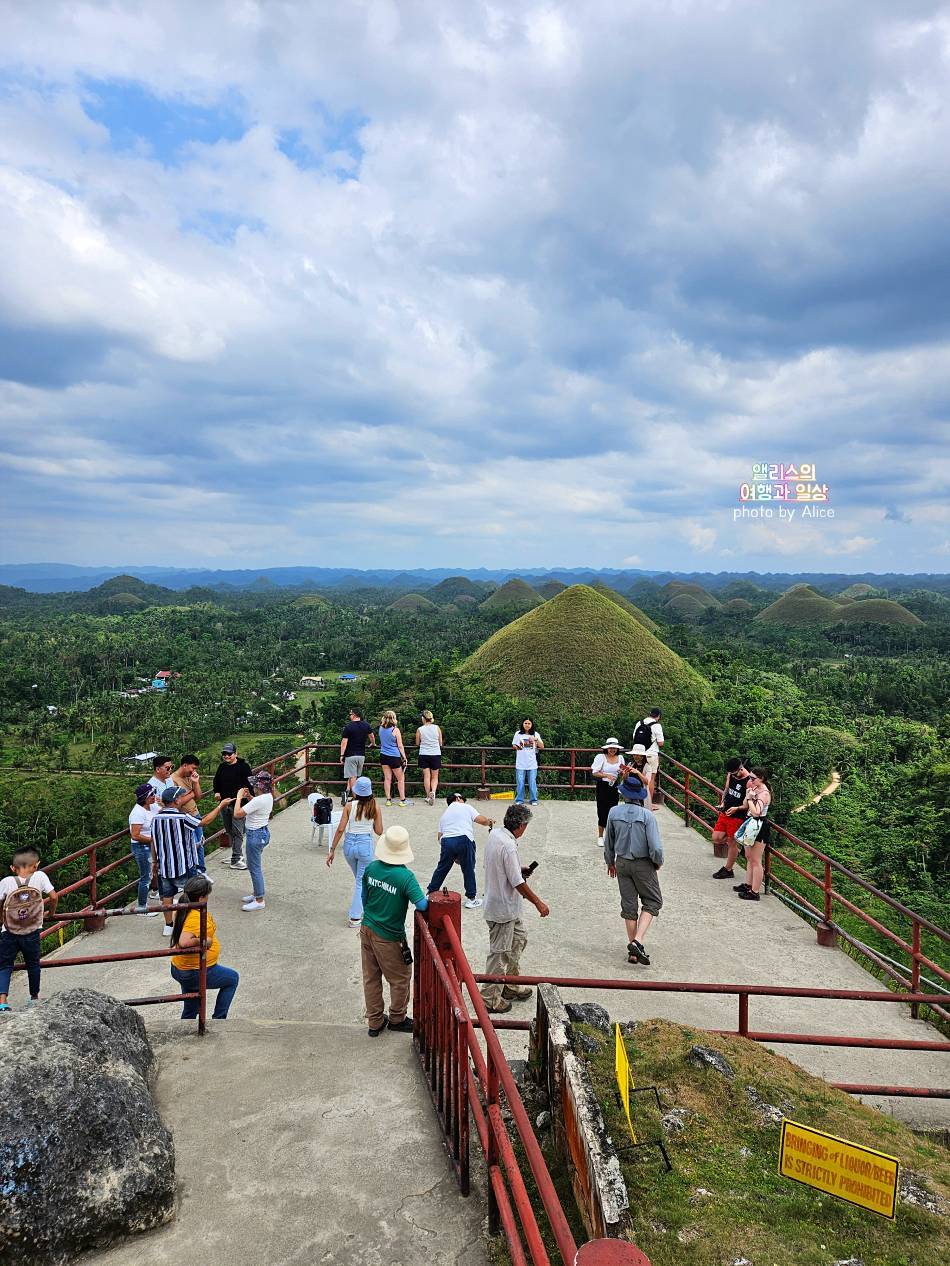 보홀 자유여행 가볼만한곳 여행코스 추천 말루안 비치, 히낙다단 동굴, 안경원숭이 보호구역 포함