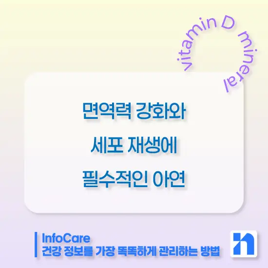 비타민D 칼슘 마그네슘 아연 함께 복용