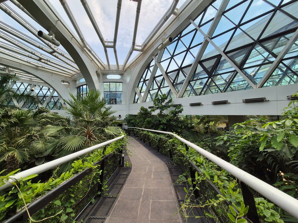 스카이워크 뷰 2