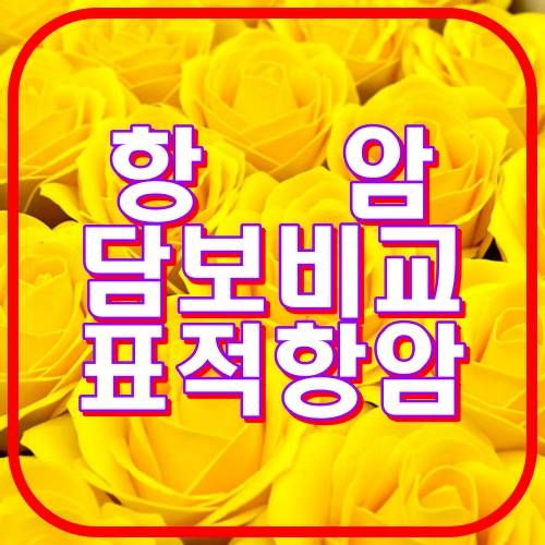 항암 담보비교 표적항암