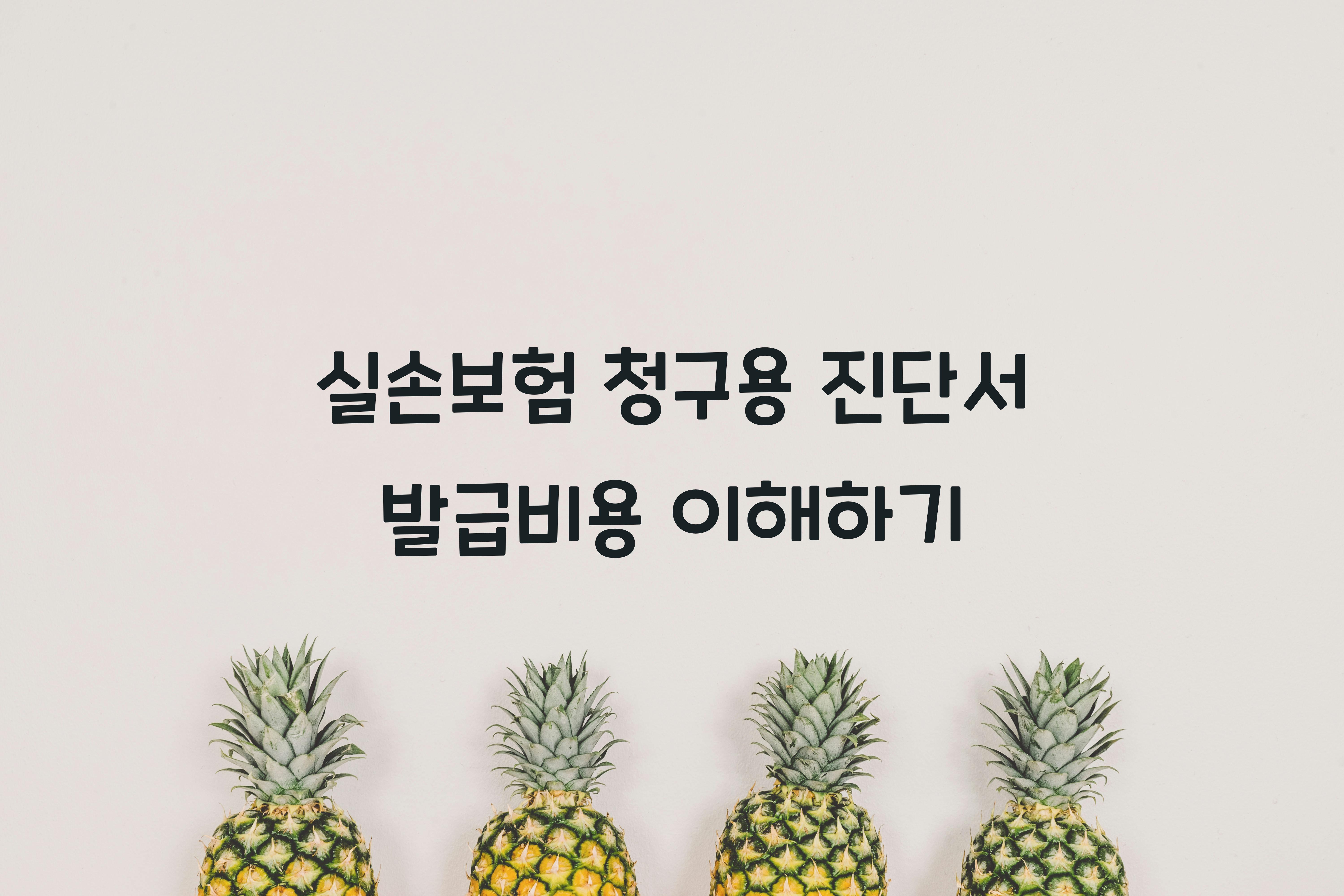 실손보험 청구용 진단서 발급비용