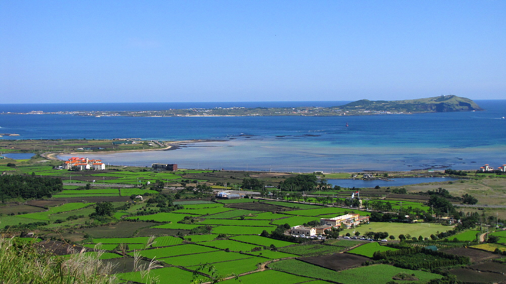 제주도-가볼만한곳-10곳-우도3