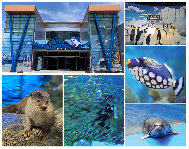 울진 아쿠아리움