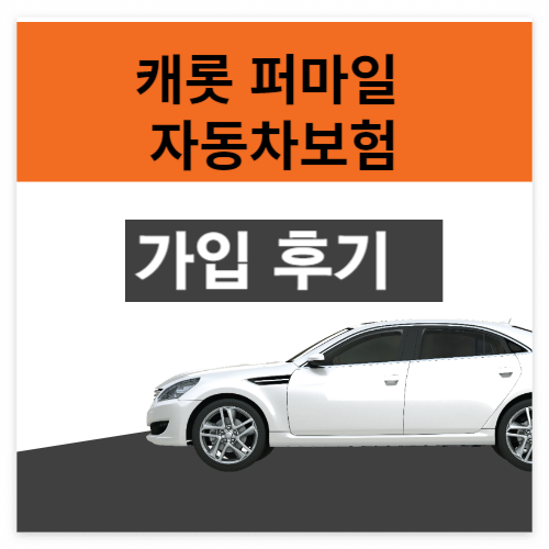 캐롯 퍼마일 자동차보험