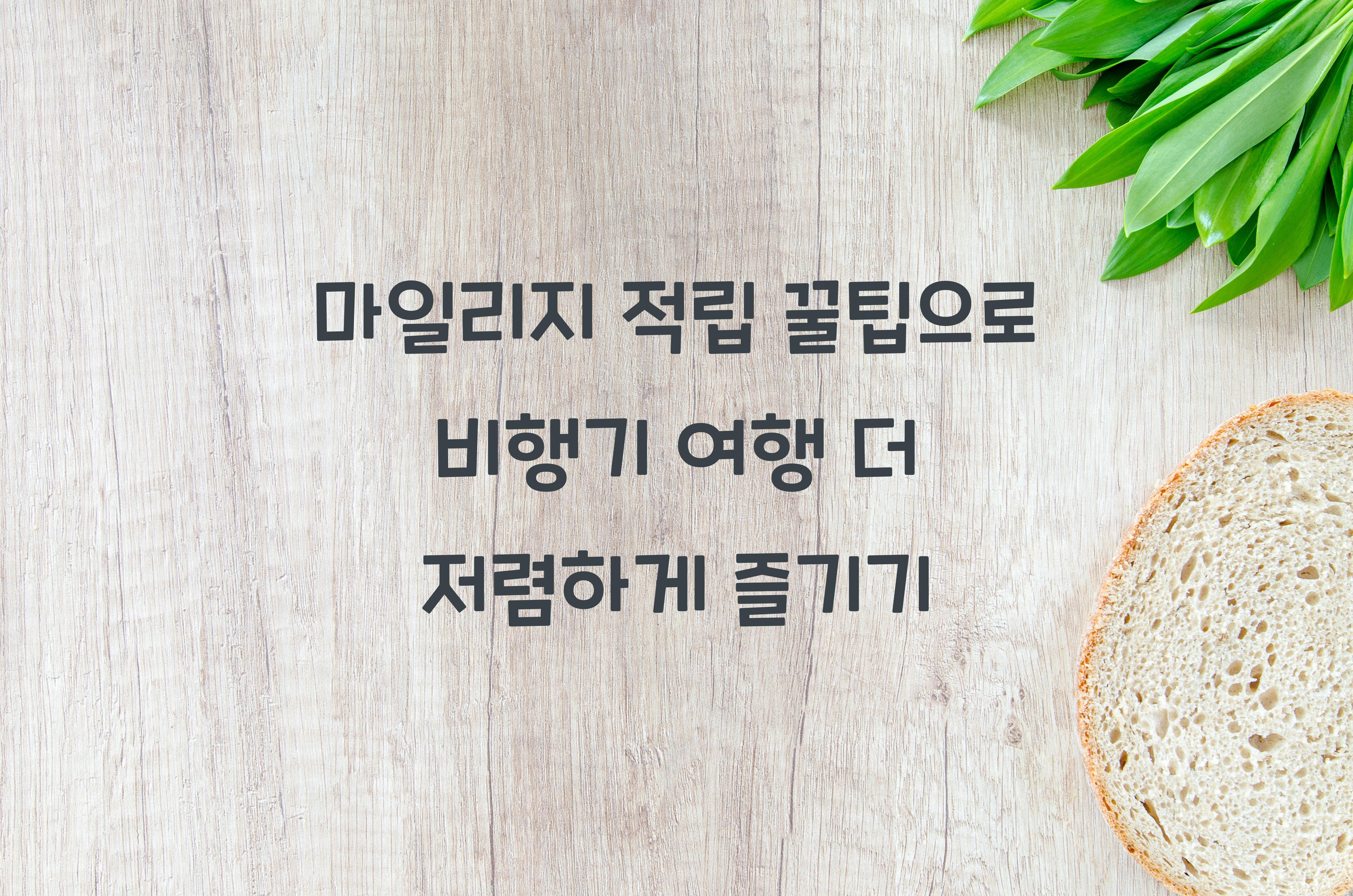 마일리지 적립 꿀팁