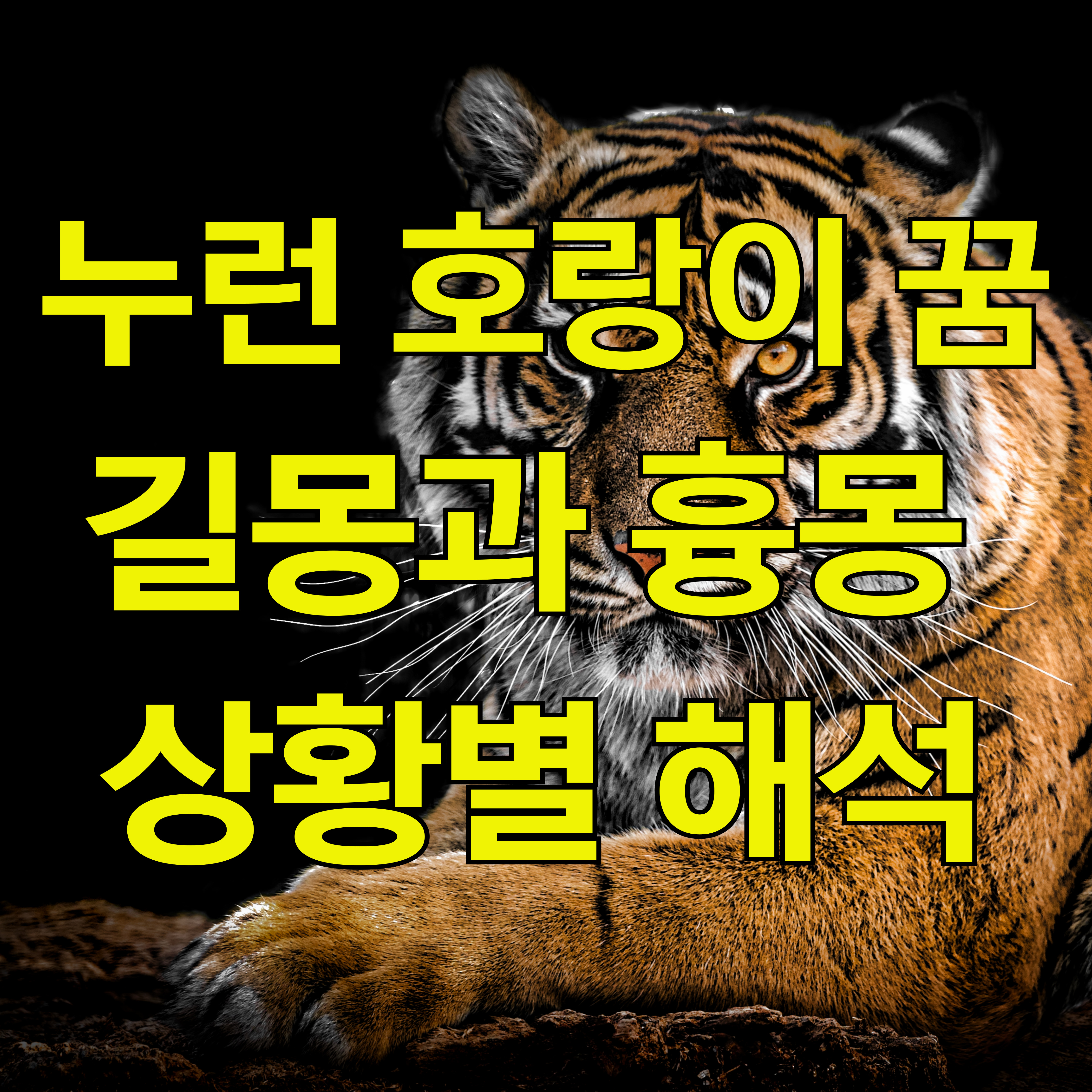 호랑이 꿈-길몽과 흉몽-상황별 해석