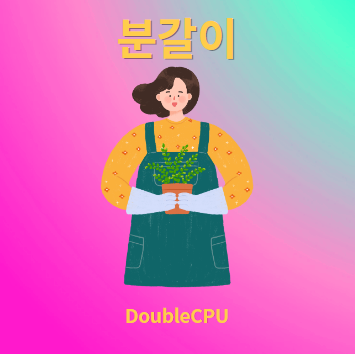분갈이
