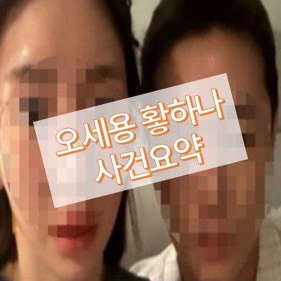 오세용 황하나 사건
