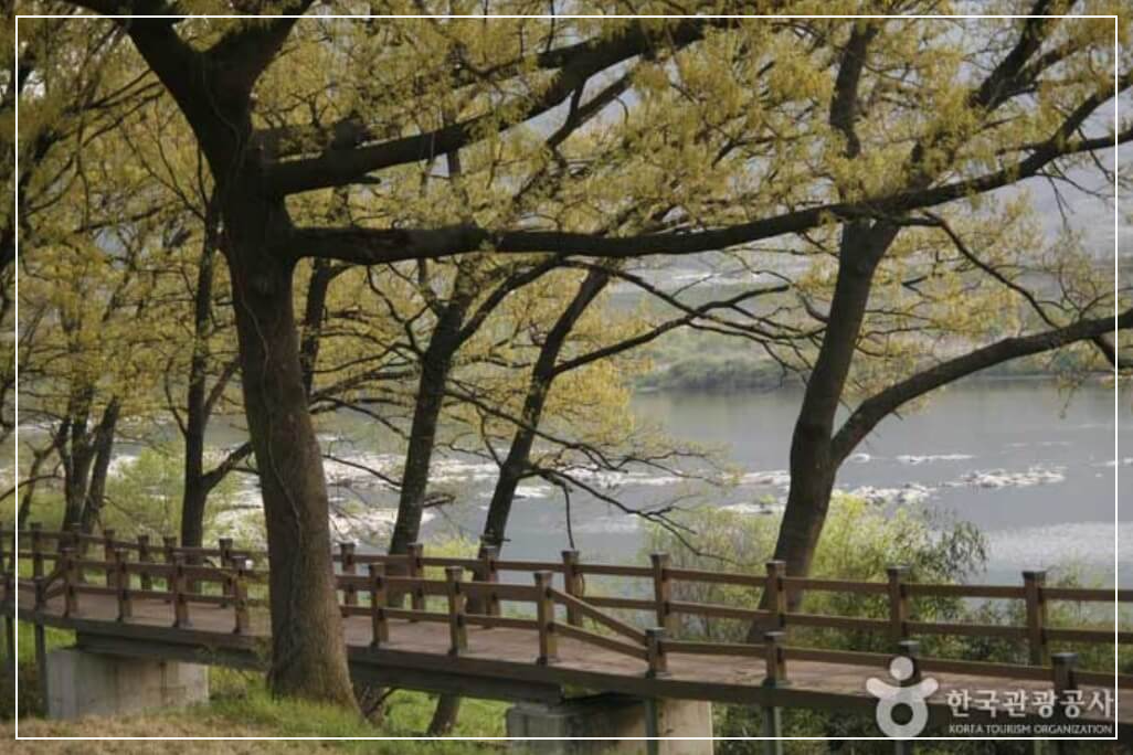 구례 가볼만한곳 베스트10 섬진강 뚝방길