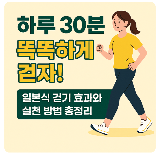 하루 30분 똑똑하게 걷자! 일본식 걷기 효과와 실천 방법 총정리