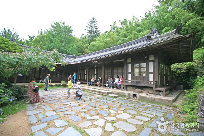 아홉산숲 볼거리