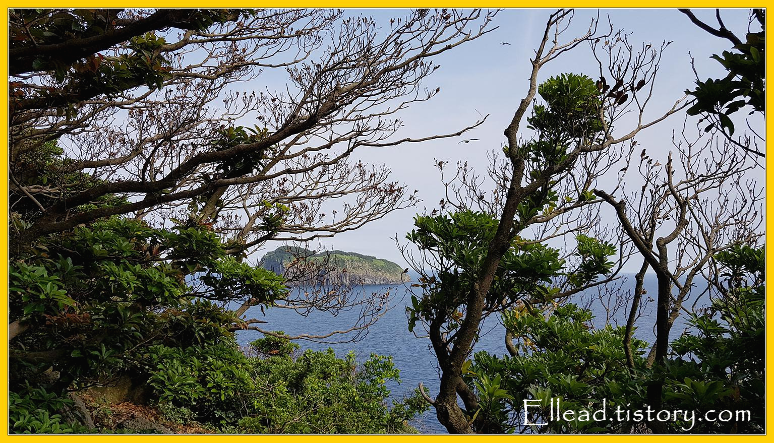 자꾸 눈길을 사로잡는 어여쁜 섬이다