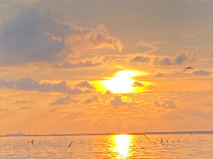 노을이 붉은 이유, 아이도 이해하는 쉬운 과학 이야기