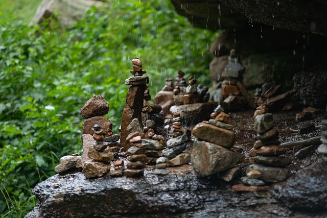 샤먼의 기원과 역사