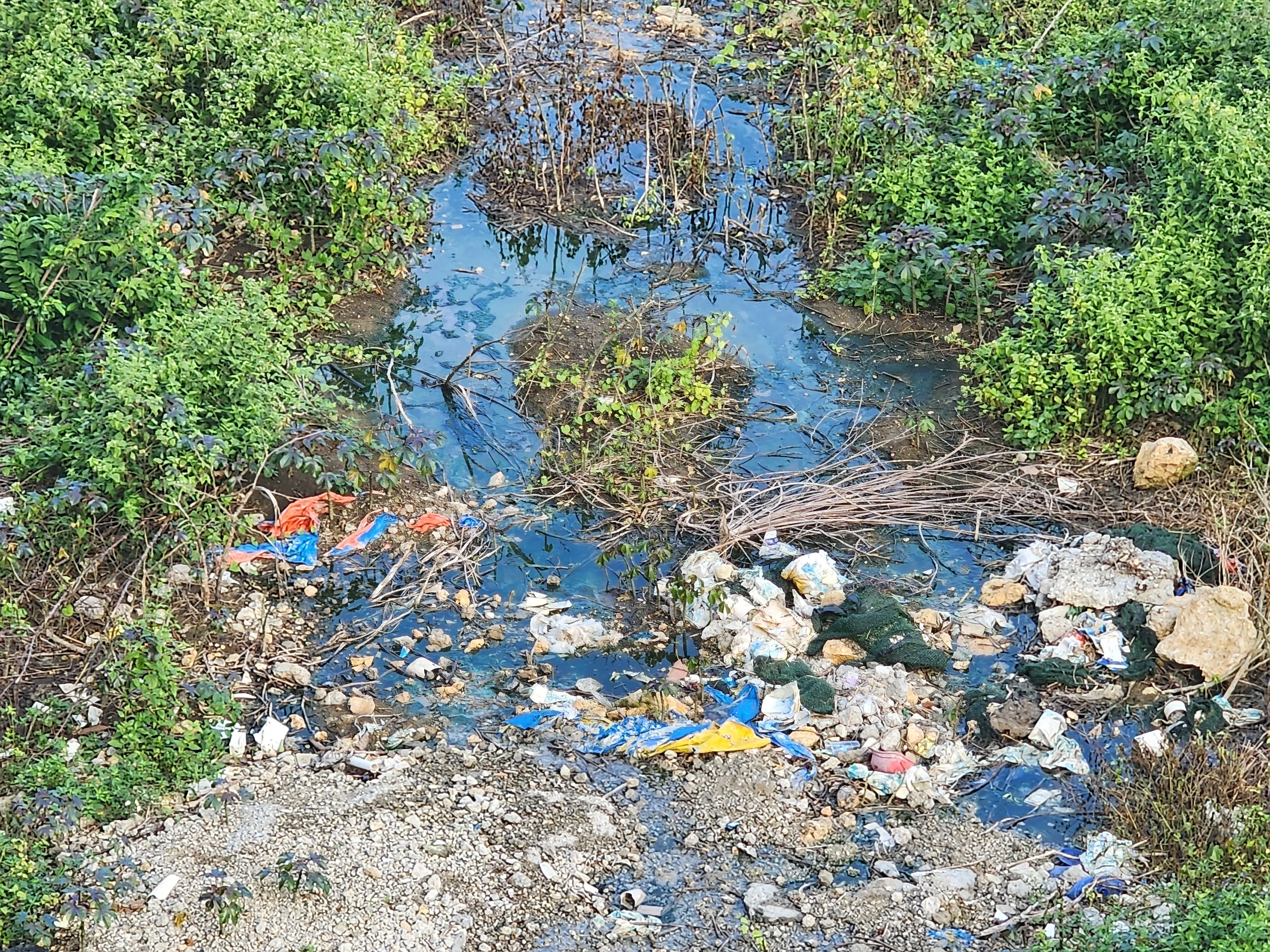 필리핀 비세부 어학원 시티뷰 가까이볼때