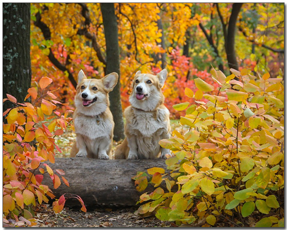 ๋จํ๋๋ฌด์์ ์ฌ์ง์ฐ๋ ์ฐ์์ฝ๊ธฐ