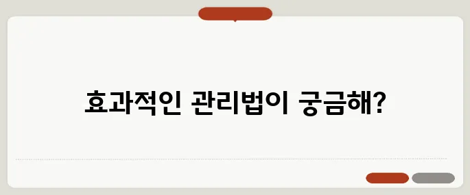 잇몸이 붓고 아플때 대처법 칫솔질과 염증 관리가 핵심