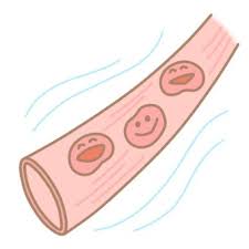 콜레스테롤 낮추는 방법 10가지