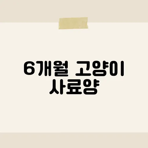 6개월 고양이 사료양, 과연 얼마나 줘야 할까?