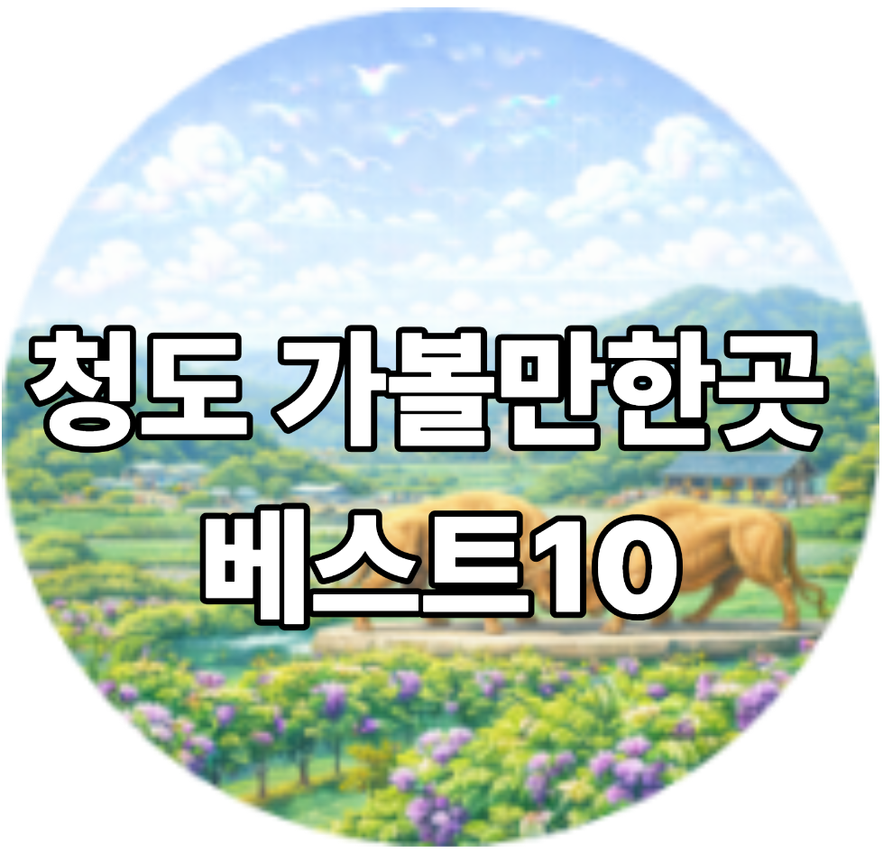 청도 가볼만한곳 베스트10
