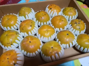 태추단감 이란 아직도 그냥 단감이라고 생각하세요 feat 일반 단감과 완벽 비교 분석으로_9