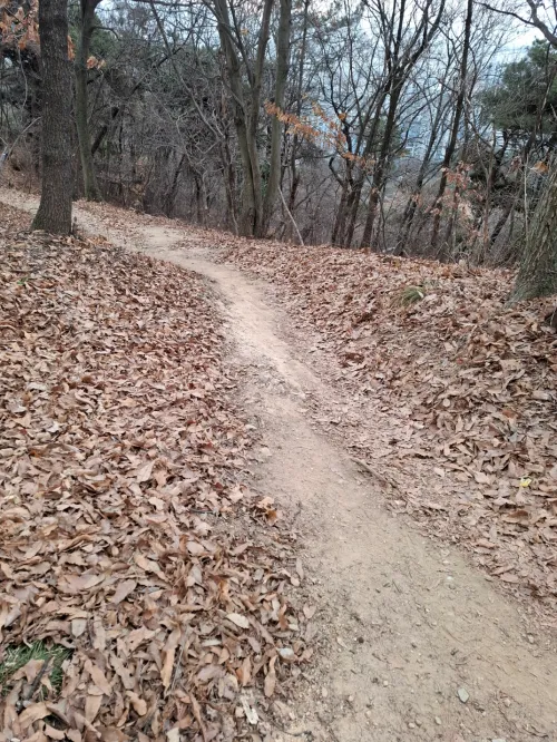 한국 독자들의 트랜서핑 반응과 심리적 균형을 위한 중요도 낮추기 전략 (Analysis of Korean Readers' Reaction to Transurfing and Strategy for Lowering Importance)