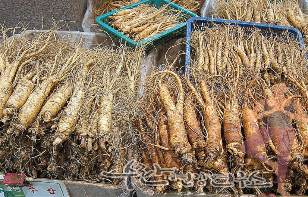 홍이장군 1단계 2단계 3단계