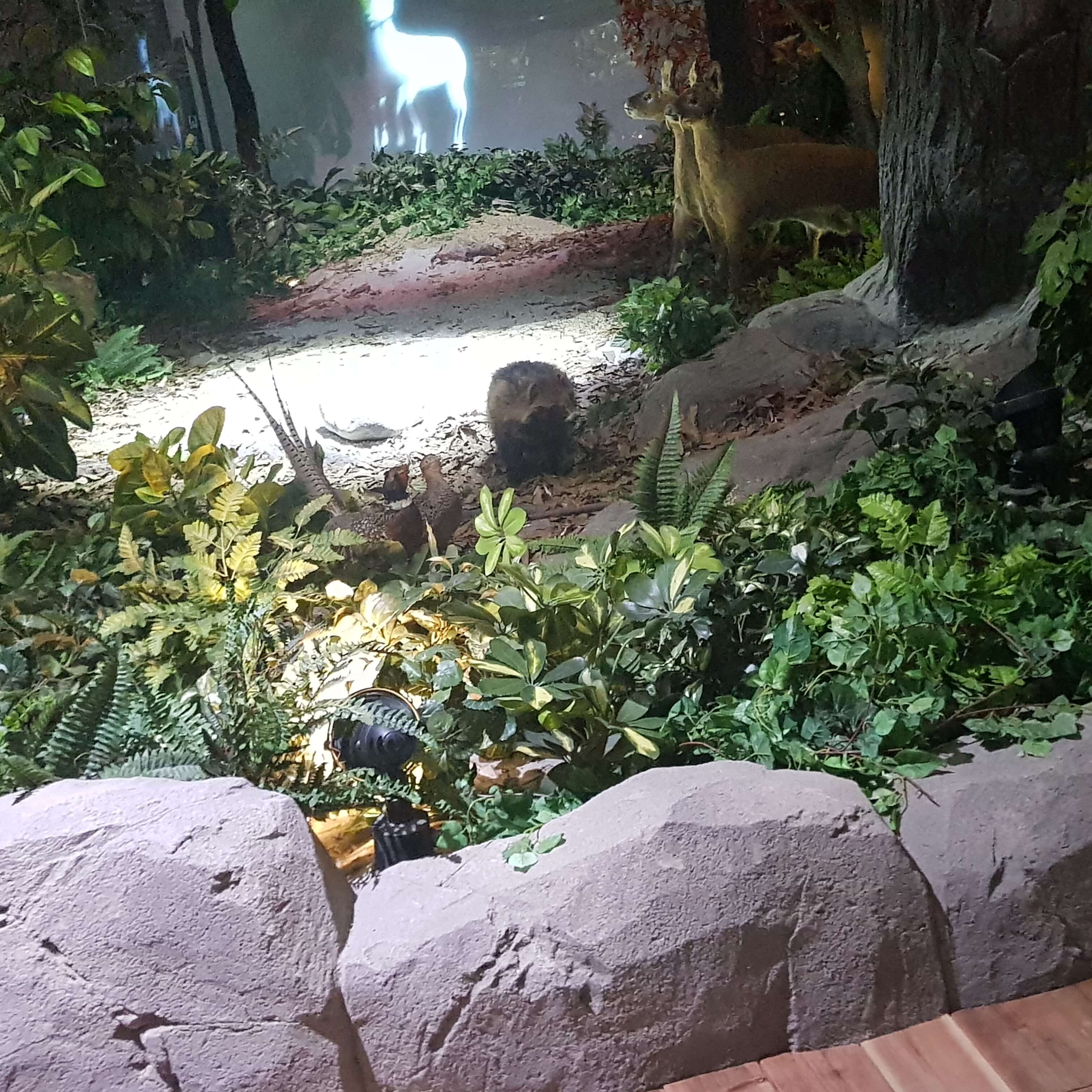 충청도 아산 주말 가볼만한곳 영인산 주말산림학교 운영