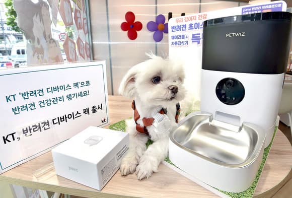 비대면 반려동물 헬스케어 - 비대면 센서를 활용한 반려동물 건강 모니터링은 어떻게 이루어질까?