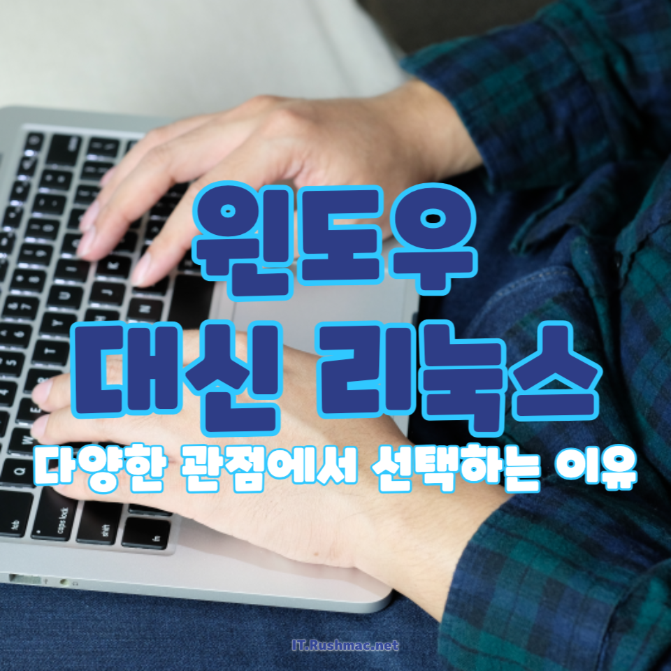 윈도우 대신 리눅스