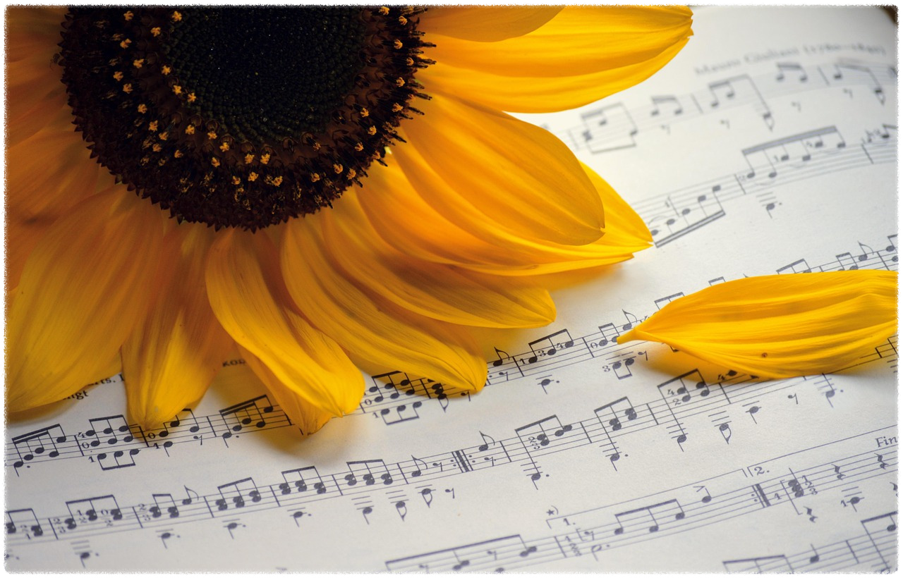 벨소리가 전부 무료인지 안내