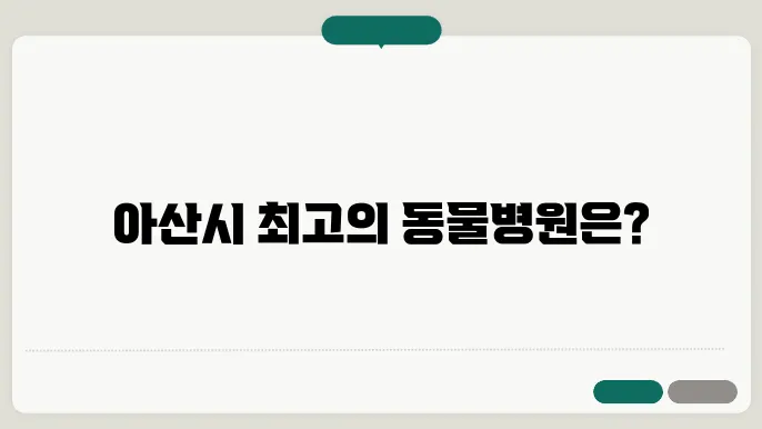 아산시 동물병원 추천 LIST 5곳